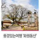 동산관광주 이미지