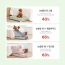 스텝헬스케어 이미지