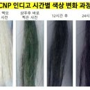 루비헤어샵 - 순천시 지현길 18 | 루비헤어샵