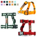 아띠지기 이미지