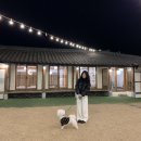 카페가배당 | 광주 한옥카페 가배당 방문 후기 애견 동반 가능