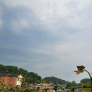 육일농원 이미지