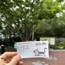 진주 주말 나들이 아이와 호랑이, 곰 보고 온 <진양호동물원> 방문후기
