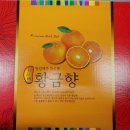 빛과일상사