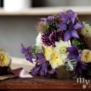 bouquet 이미지