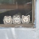 행운동-21 이미지