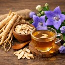 999 | 도라지청 효과 있을까? 진액999 도라지청 복용 후기 (기침, 기관지 변화)