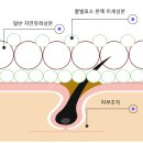 귀한꿀 품절임박했습니다.(모두 저렴히드립니다) 이미지