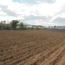 표선면-14 이미지