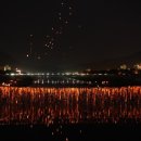 또리와 아로 이미지