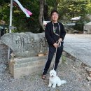 매봉힐링캠프 이미지