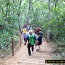 하늘다리 이미지