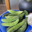 보성순두부보리밥보쌈