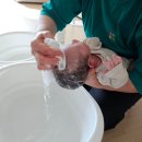 이레 | 대구 산후도우미 이레아이맘 솔직후기 (권경숙 관리사님)