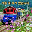 술 한잔에 울던 날 -시 손숙자- 이미지