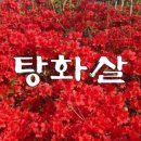 명리반점