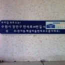 수원동신초등학교 이미지