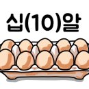 바운스라이브 이미지