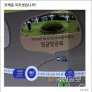 초이스의원 이미지