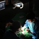 치아세상치과의원 이미지