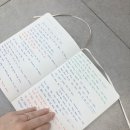 오롬 PDS다이어리 사용자가 추천하는 25년 6개월 다이어리 내돈내산 후기 (온유어마인드 스토어)