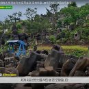 동화조경농원 이미지