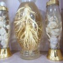 신풍인삼면옥 이미지