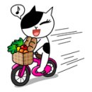 코렉스자전거 프리임레이디 사용/조립 후기