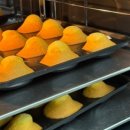 배곧1동 행정복지센터 이미지