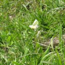 손앤이한의원 이미지