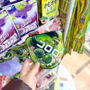 쿠폰 | 일본 도쿄 돈키호테 쇼핑리스트 추천템 할인쿠폰 후기