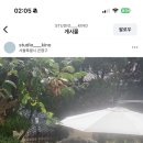 키노  스튜디오 이미지