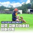 GS25양주푸른점 | 네이처독 수영장 양주 애견카페 애견운동장 서울근처강아지수영장