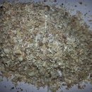 주식회사디브레인스 이미지