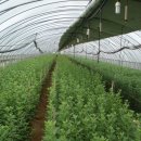 태성농자재 이미지