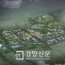 타운헬스 이미지