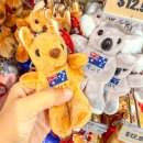 (주)렉스팩인터내셔널 | 호주 퀸즐랜드 여행 지금 안 가면 손해인 이유