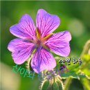 예쁜하루 이미지