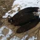 김성규농장 이미지