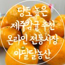 아달달농산 | 온라인 전통시장 제주감귤 조생감귤 추천 아달달농산