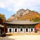 풍 양 사 Daum카페