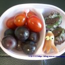 서율농장 이미지