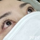 네일베르네 이미지