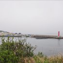 제주도 반달살아보기-2일 이미지