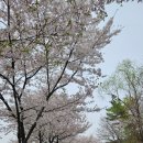 낙산코너 이미지