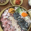 딱조와 | 아기랑 속초여행 | 속초 물회 맛집 | 속초 기저귀갈이대 식당 | 청초수물회