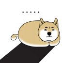 공차 부산동아대부민점 이미지