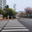 장천초등학교 앞 이미지