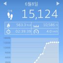 토니모리아산터미널