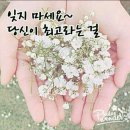 랑블리 이미지
